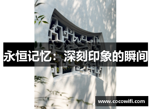 永恒记忆：深刻印象的瞬间